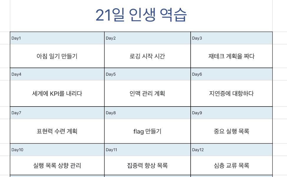 21일 역습 계획
